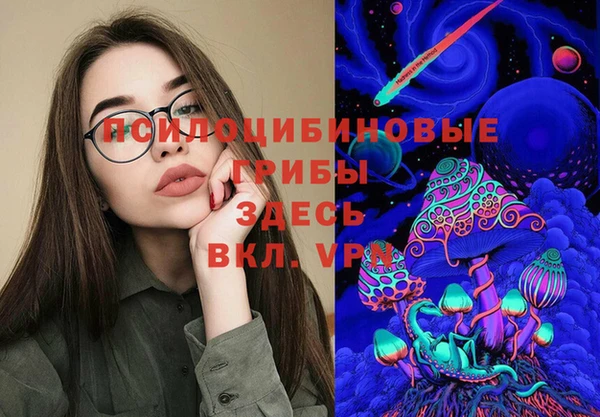 мдпв Арсеньев