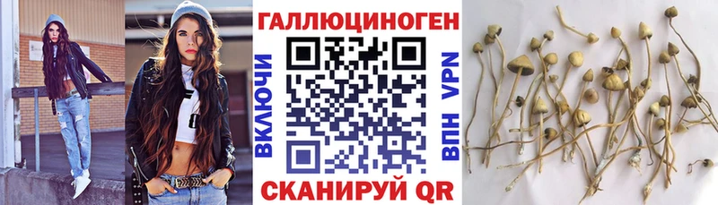 Псилоцибиновые грибы Psilocybe купить наркоту Пустошка